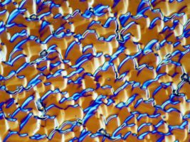 Wafer-R&uuml;ckseite 1