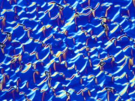 Wafer-R&uuml;ckseite 2